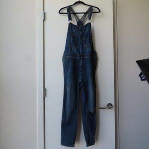 Distressed Overalls